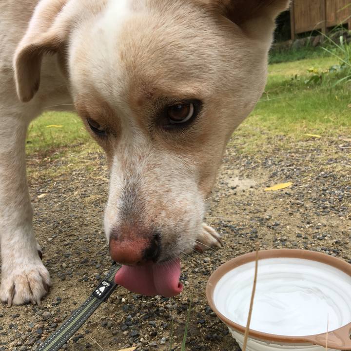 C5dd3885 0999 41f8 be48 cdc06540d4de