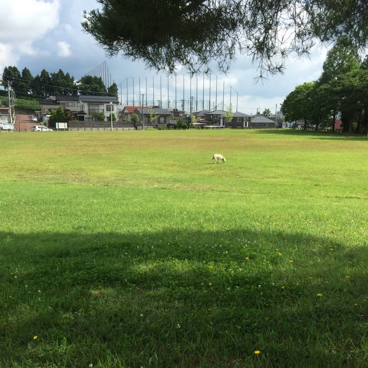 C5ddbd8b aa14 4088 9759 329582596572