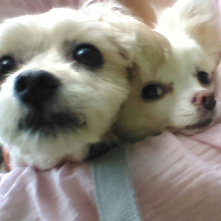 C5ddd931 f5be 494c b8e9 65f4c3617c33