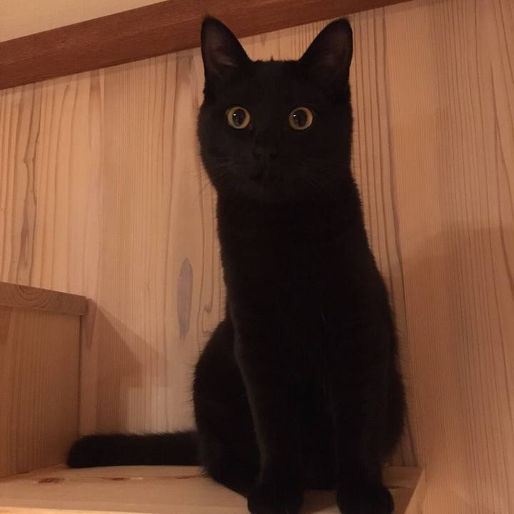 C5ddea9d d2c6 4cbf 878a 1776eac29d9c