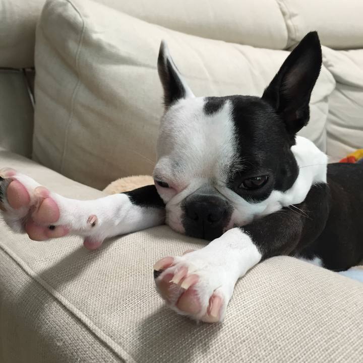 C5de1cbd 8982 4a88 80e8 06a689904c6c