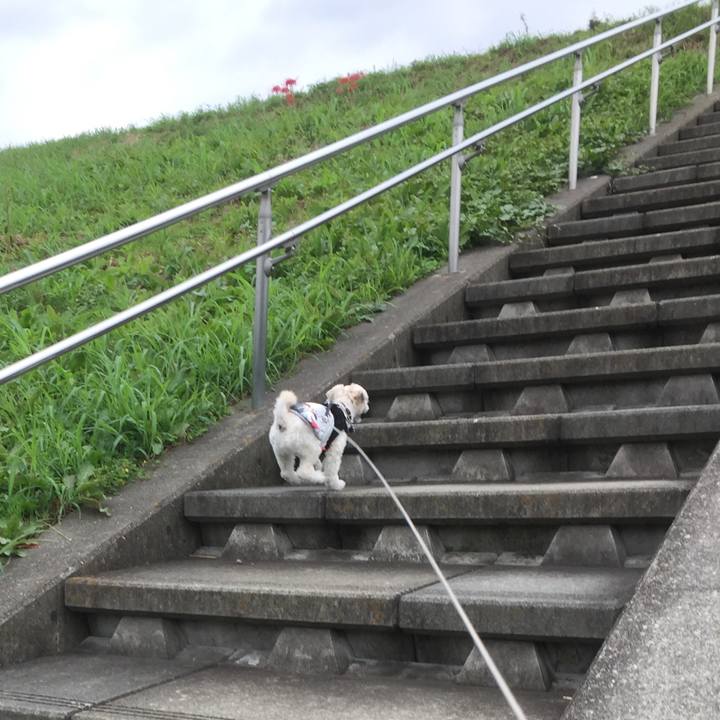 C5de7de5 dfb5 4eb6 a24a 44bf5fcec6c0