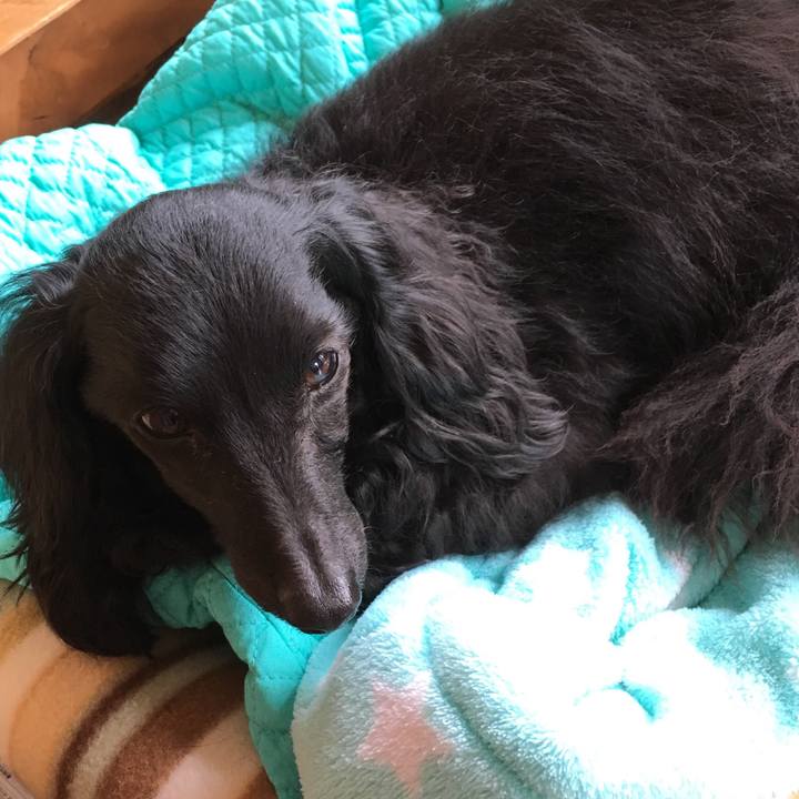 C5df593a 7bce 4e3c b88a 345f26cc0edb