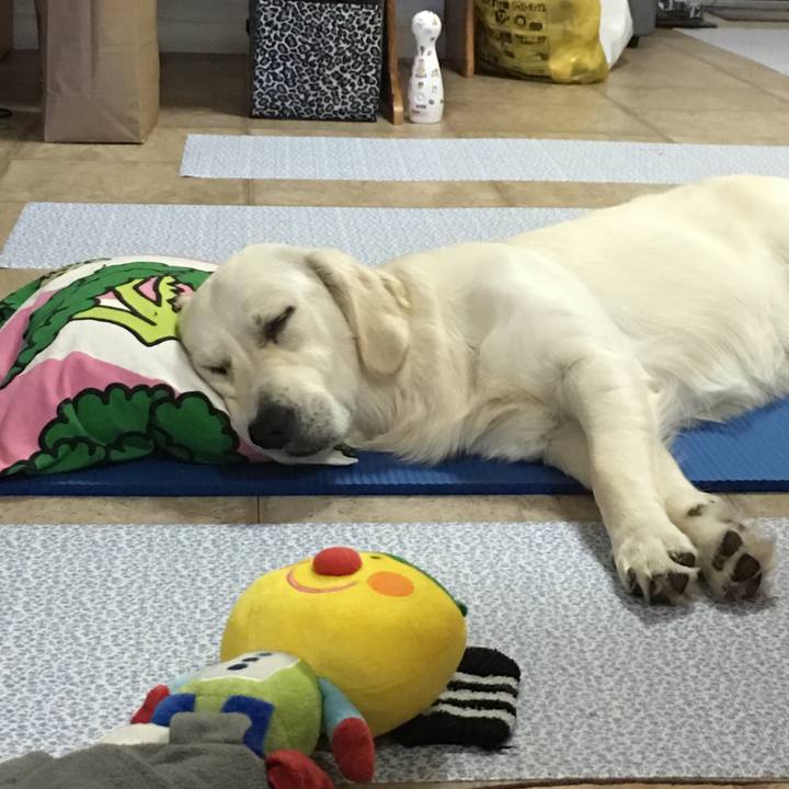 C5dfa904 737f 4906 ab31 298fc6369042