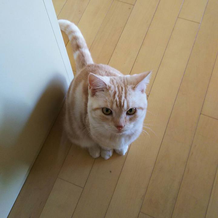 C5dfcc5d 779d 4053 a6b6 ec12d8d5cb41