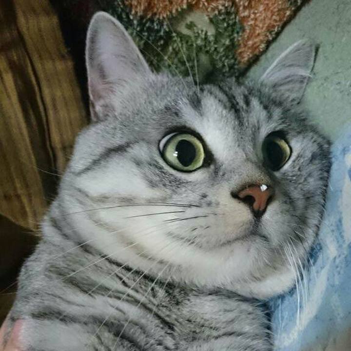 C5dfe809 2d89 448d af2c 871e1230056b