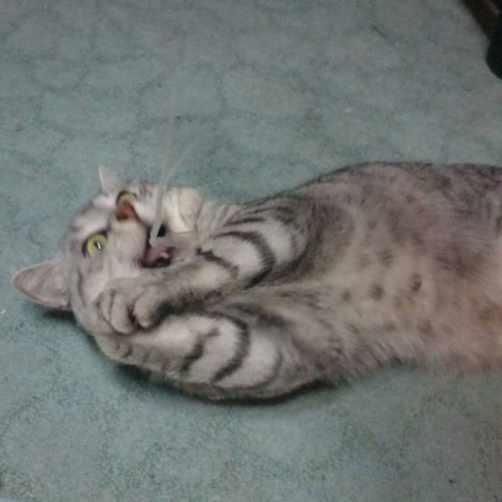 C5e02f53 e5e2 4e17 896d 25e086f50c5d