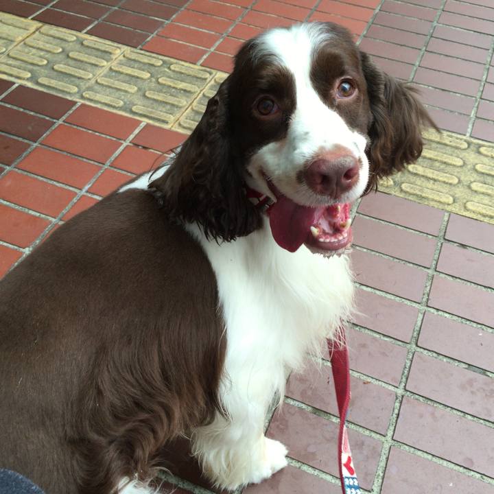 C5e1863c e22d 4222 8483 0902633f0233