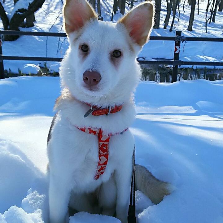 C5e19d50 7536 4ec2 a9d2 304478ff8d50