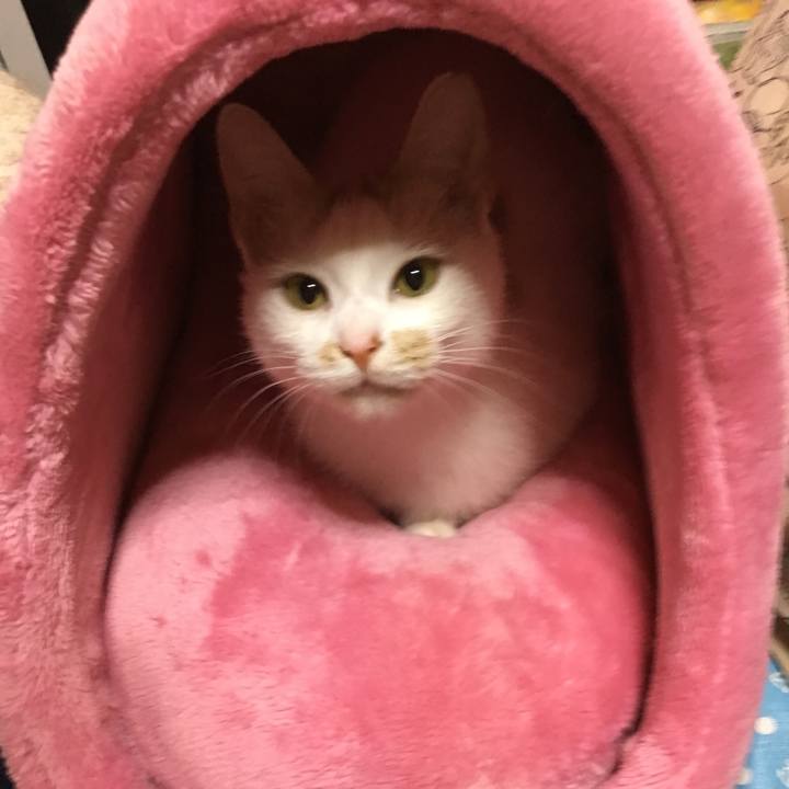 C5e1b917 2155 4fe3 9899 721f9740716d