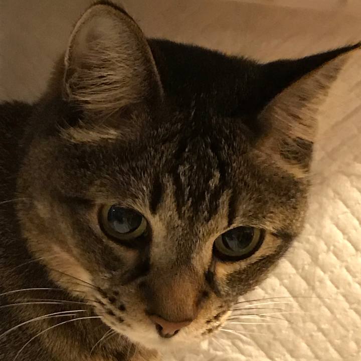 C5e2f78e fb1a 483c 93b8 fd923ad9e2fc