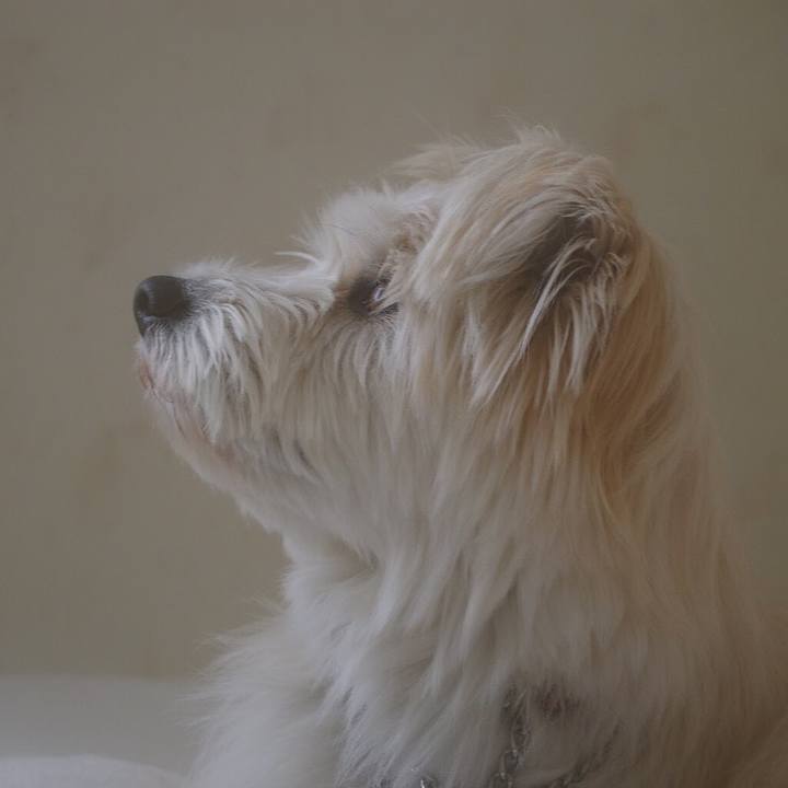 C5e369d0 6a8f 4e85 914f 7c5f61ff5edb