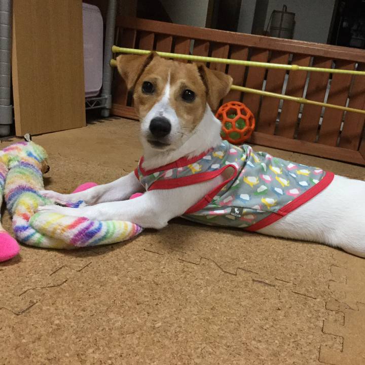 C5e3ab1b 2f72 486b 80f9 9ab0754f2460