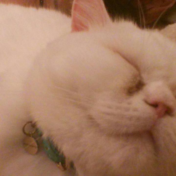 C5e45ff8 dfd2 4be4 8366 638efe5e3a81