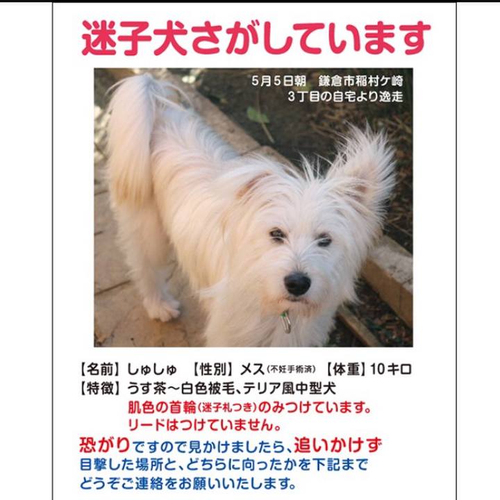 C5e50a18 6941 4fe9 bf33 26a7cf8885bb