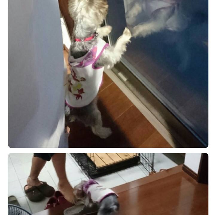 C5e51bbc eb83 4b11 b049 320a117b8c1b