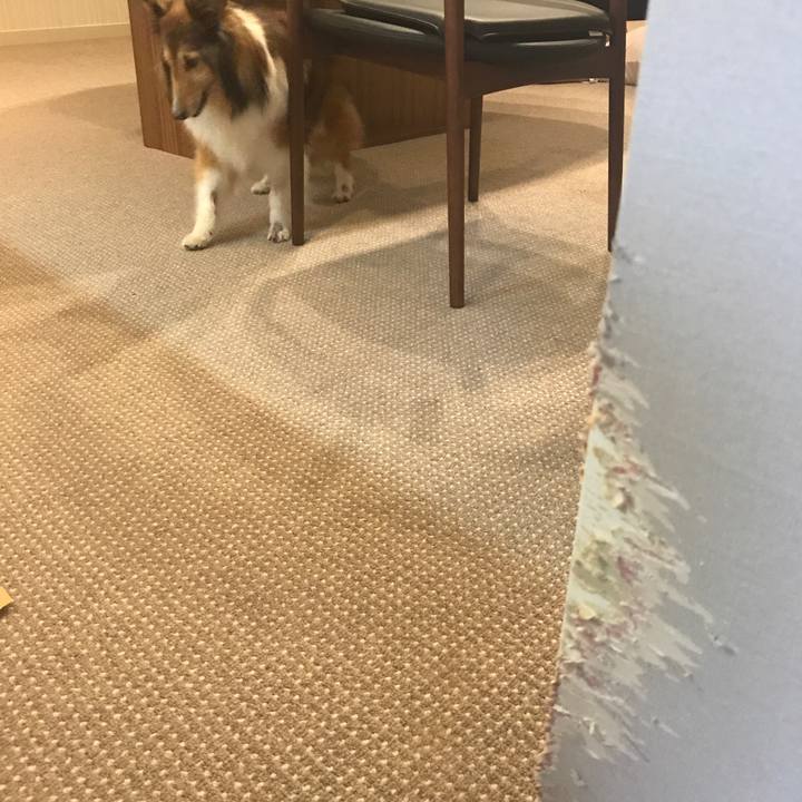 C5e54beb 7136 4ae1 a068 968ec76baf7a