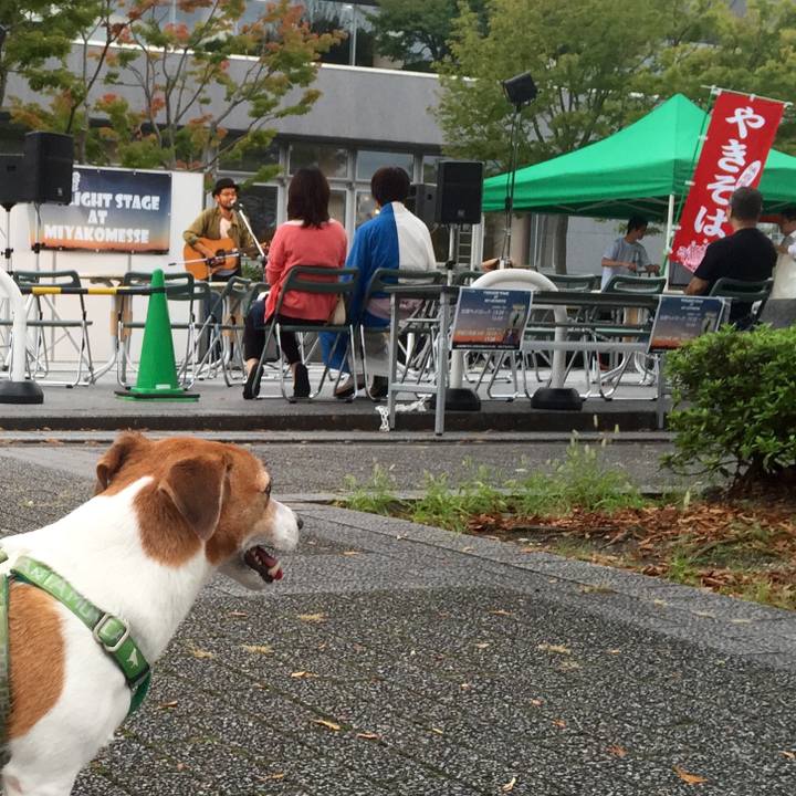 C5e5c1f8 952d 4705 8f16 af2ad539d838