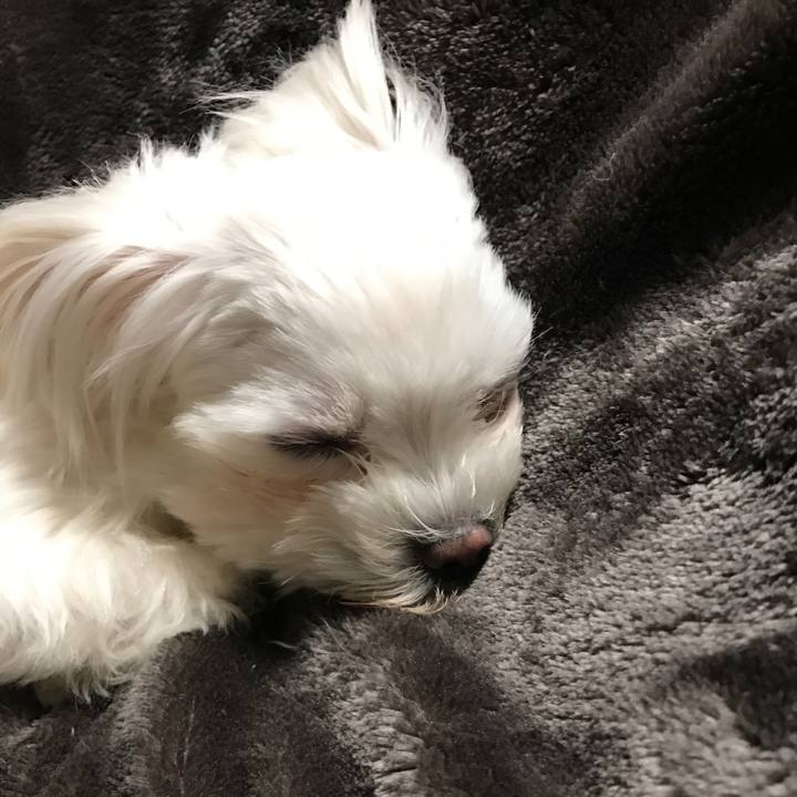 C5e67ae3 5415 428e 94a4 ce607c51e265