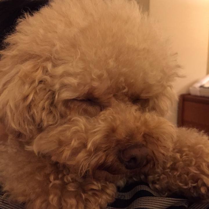 C5e68337 4acf 4d16 82c5 dfb24420c499