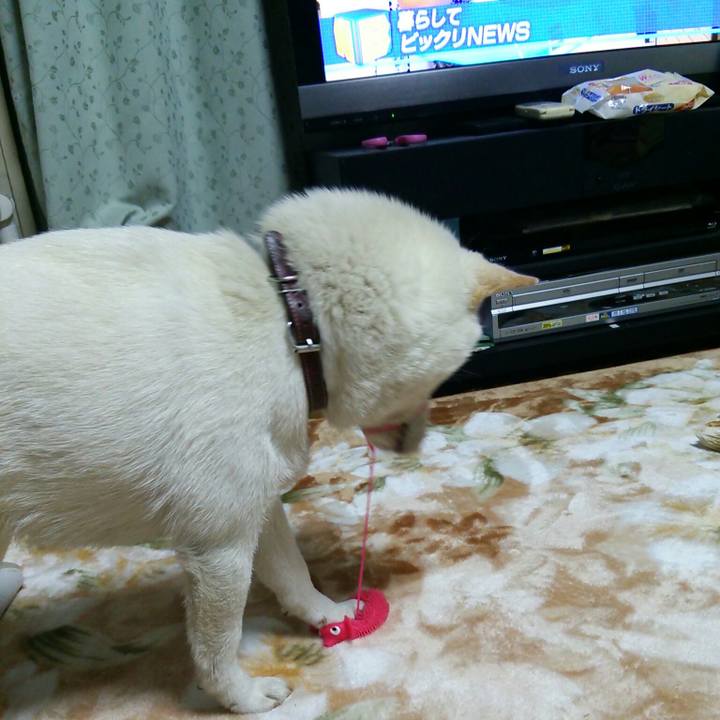 C5e70f67 1fe3 4260 b019 ae8535f206c9