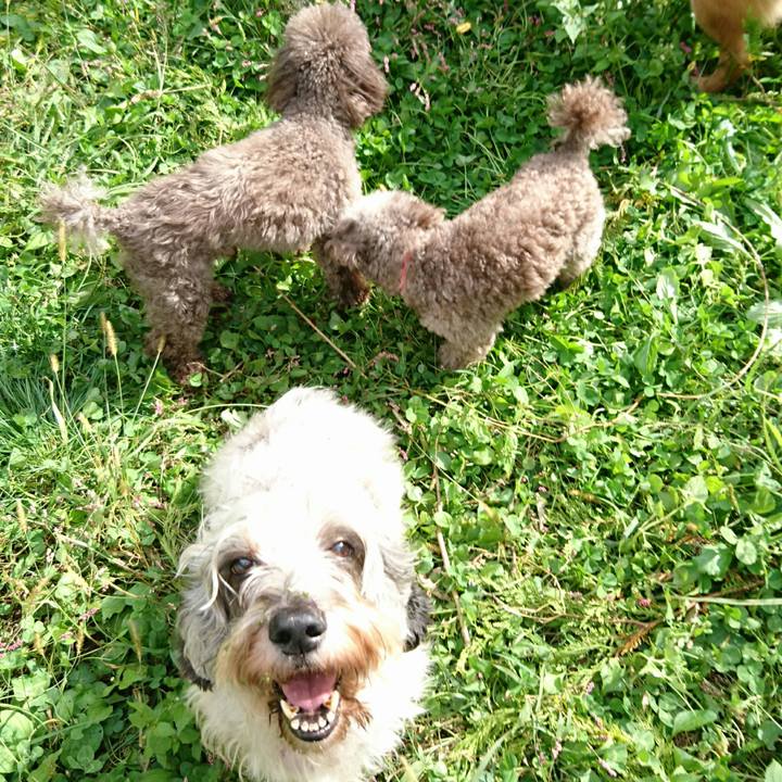 C5e7a1a1 b152 4df8 82f9 3e5a97e3557b