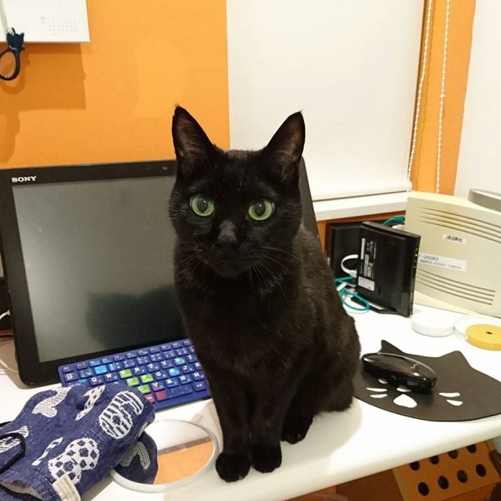 C5e7e651 86c5 4760 a63a a2a0e4d8c2ac