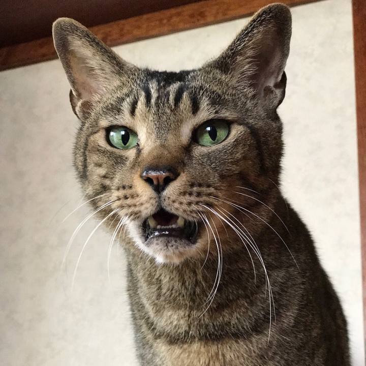 C5e8d211 deb4 406d 8276 81dccf1faaca