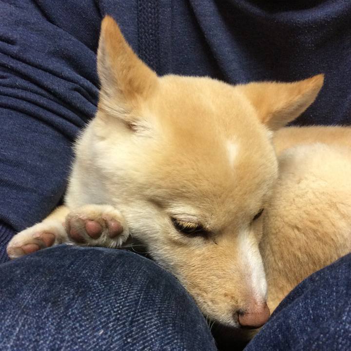 C5e932b4 36fc 4cec ae8d aa0f805fb122