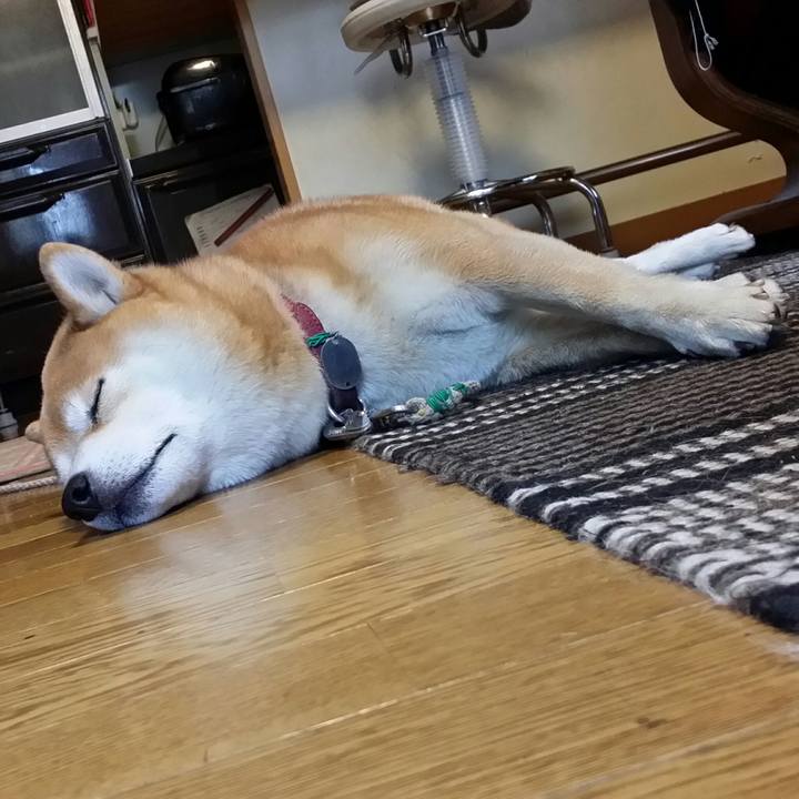 C5e95488 7aca 4bba b115 68478e71aac6