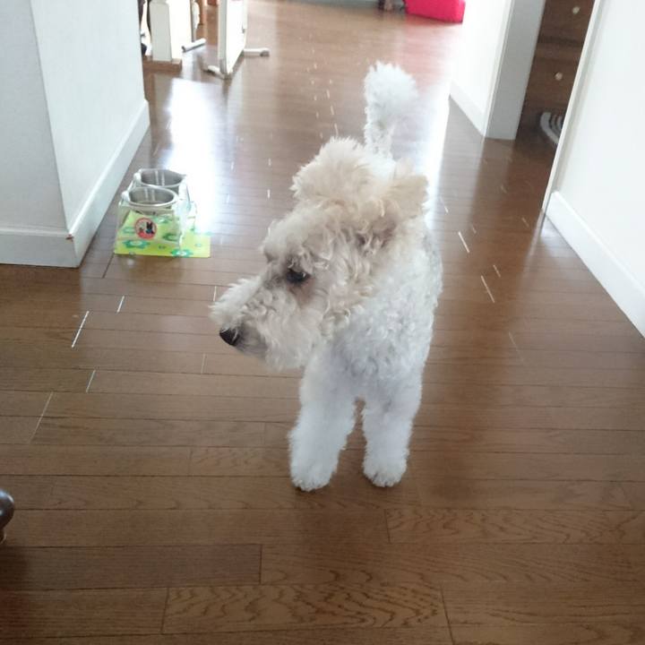 C5ea4815 1c8e 491f bf12 e143dcf7a5b7