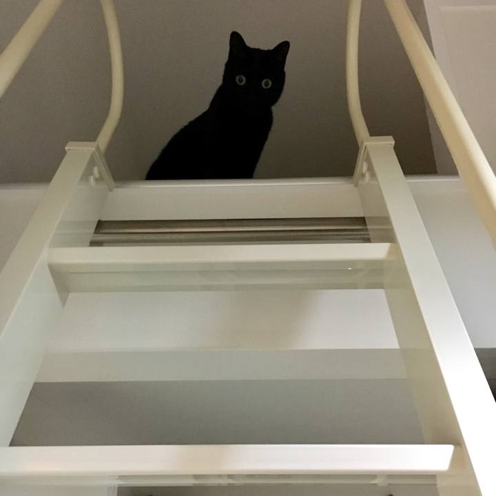 C5ea69e9 81e7 45fc 98d9 a135535a0fa2