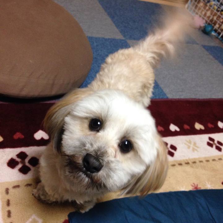 C5ea7058 af25 4b09 9e8f 4af4dff2351a