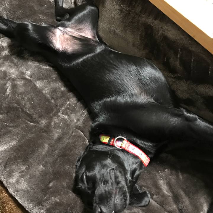 C5ead53f 95fc 4cdb b36f 9f164778d160