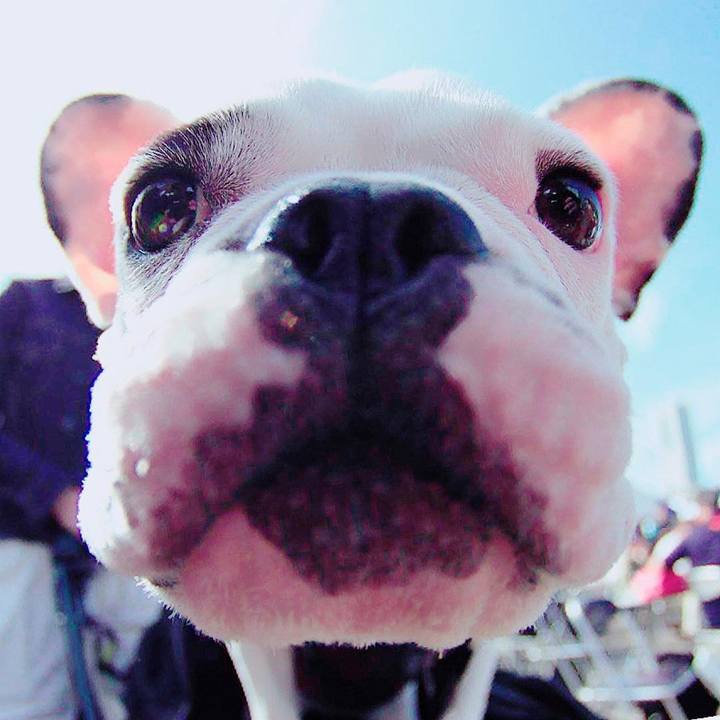 C5ebbb0c cb18 4aa6 8aa5 45904f1bcbf8