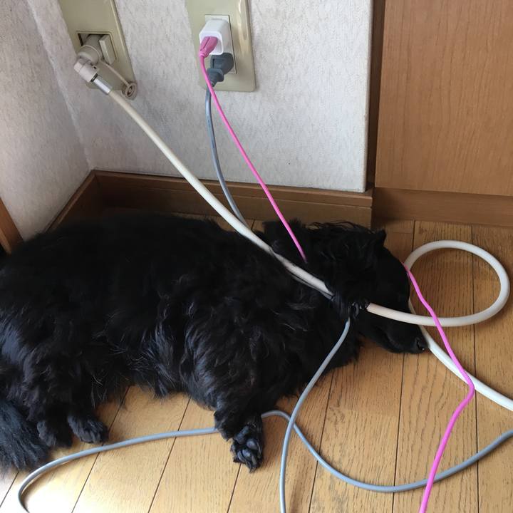 C5ebec52 eddb 4031 a3ba b32da6a03d46