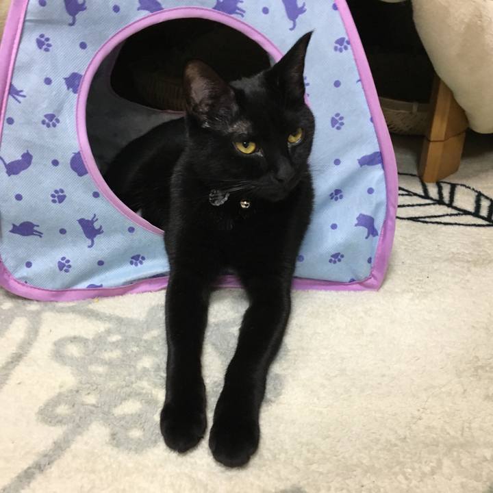 C5ebf134 e618 4eea 9d55 09b8d04ab8c1