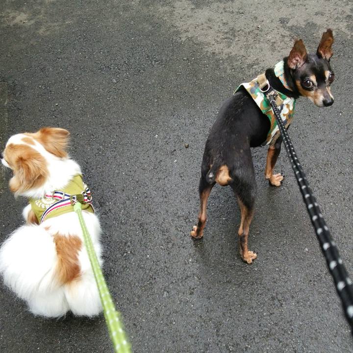 C5ebfa7c 3070 4cea 8b35 f9029de057c9