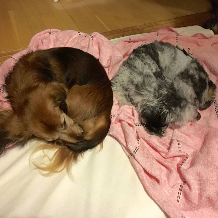 C5ec3b5f 942b 4604 8a3f f2839bb73456