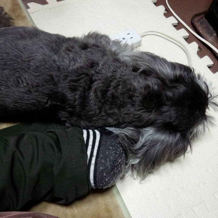 C5eca58f c6e8 4c85 b5aa eed51d5695ea