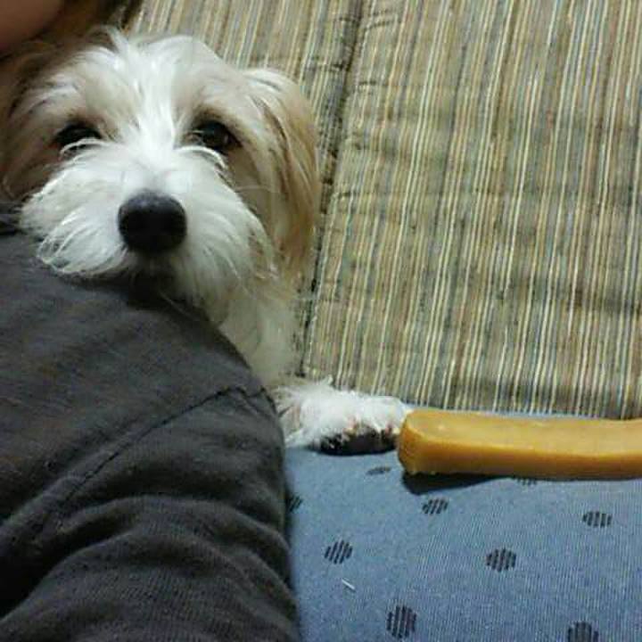 C5ece6d6 732e 417d a205 4397ae43f4b2