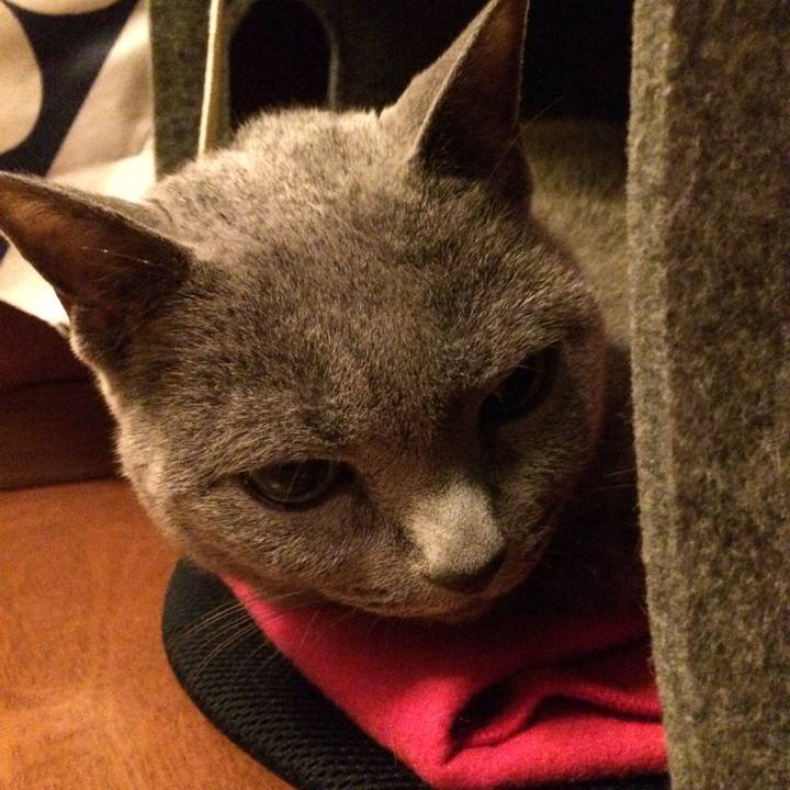 C5ece8fe 3e20 4f87 b768 4a1169e9e160