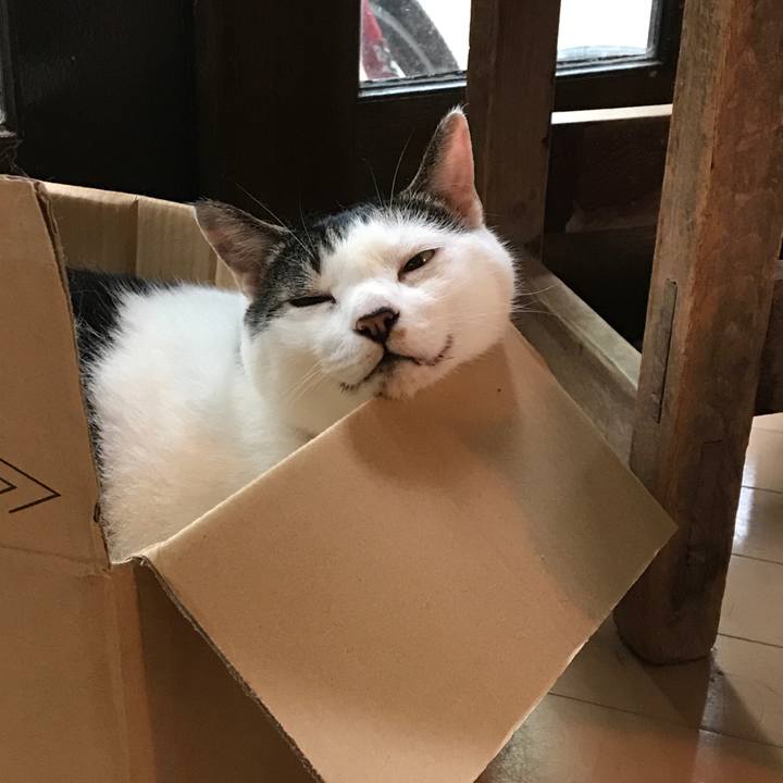 C5ed14b0 db39 4b2c 95e3 61692c6234a8