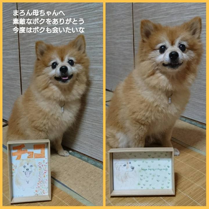 C5ed5bca 7c83 4f7d bd70 22b7bd8a1989