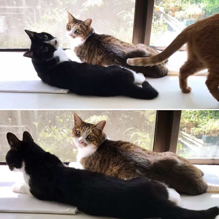 C5ed8f76 8e87 4f42 8343 07cef710ff17