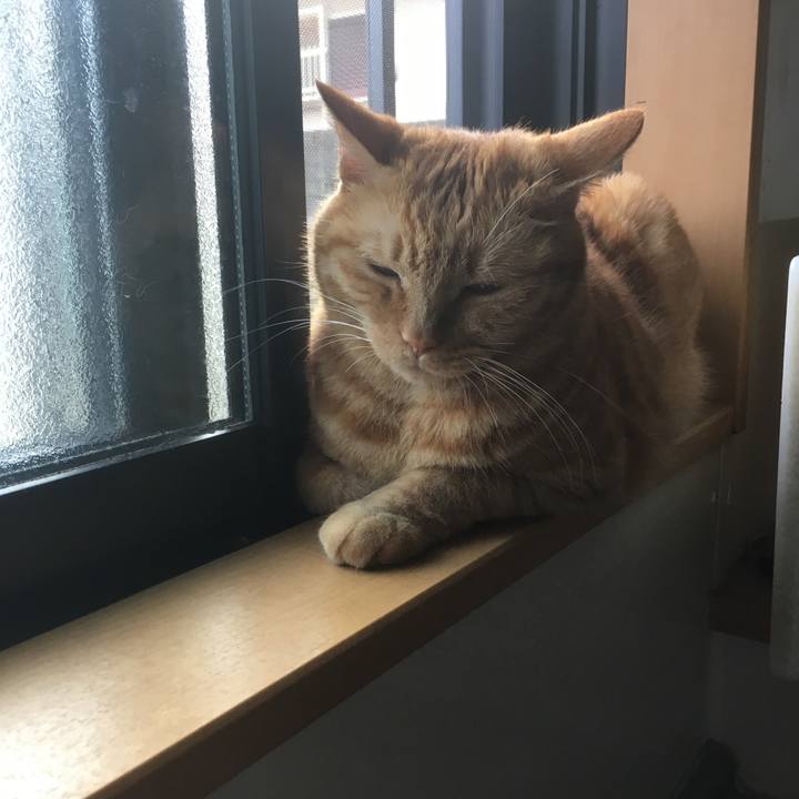 C5ee4941 8abd 4000 b98d e5c42e56b931