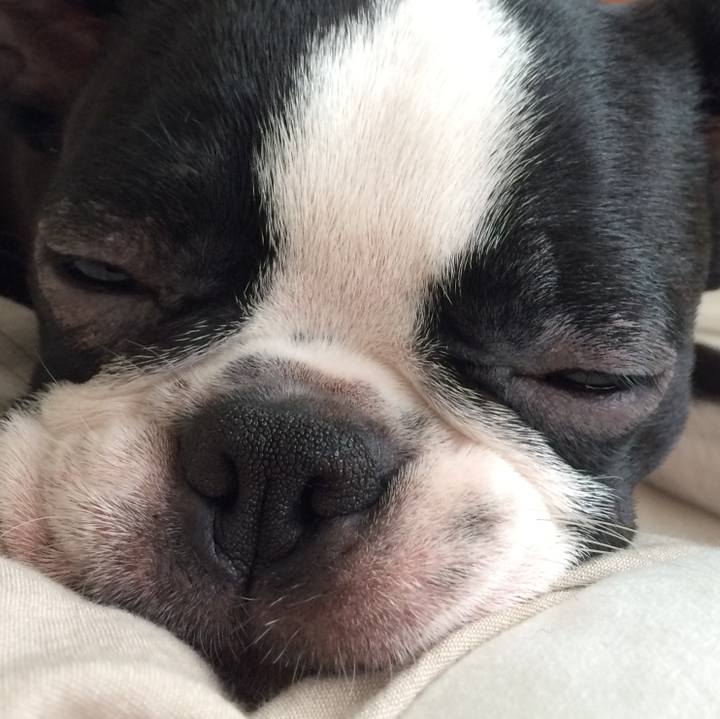 C5ee57f4 8385 4b81 b8a5 55ee8b9684c6