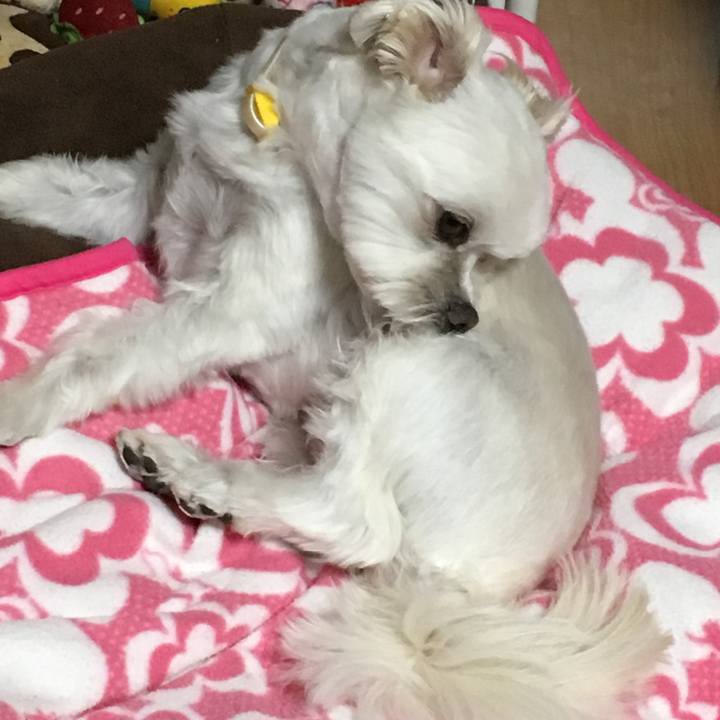 C5ef1b71 d767 4f54 8ca0 58e41999757f