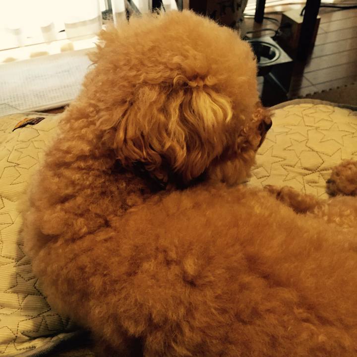 C5ef2e10 7f14 4f75 93a6 e655fe55f276