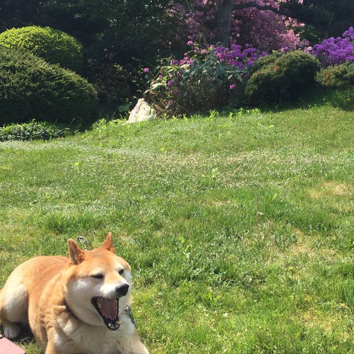 C5efa3e2 fed1 46ac ae19 f1b321d8e00a